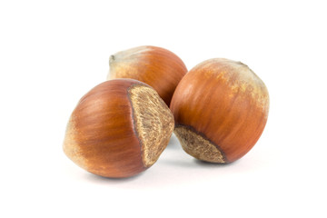 Isolated hazelnuts on white background, food
