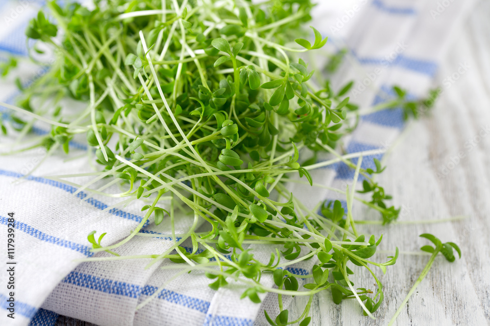 Wall mural garden cress ready to be eaten