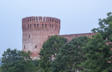 Fototapeta na wymiar Tower of the fortress wall