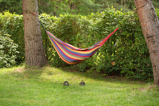 hamak na działce między drzewami