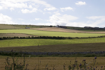 Fototapeta na wymiar Farm in the Scotland Countryside