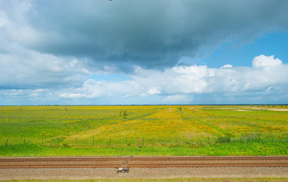 Railroad through nature in summer