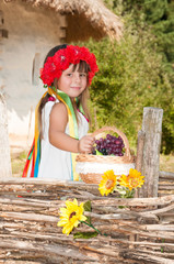Fototapeta premium Ukrainian girl in a wreath of red flowers and satin ribbons with a basket of apples near the wicker fence