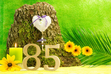 Happy Birthday 85 Jahre