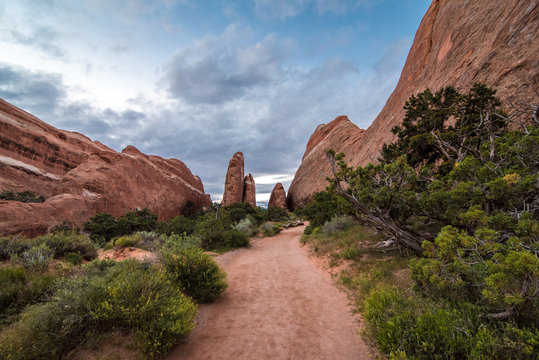 A path among desert rock formations.