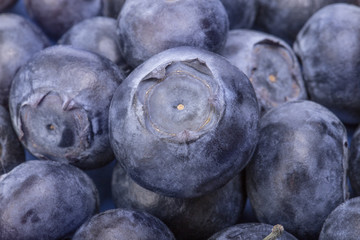 Blueberries