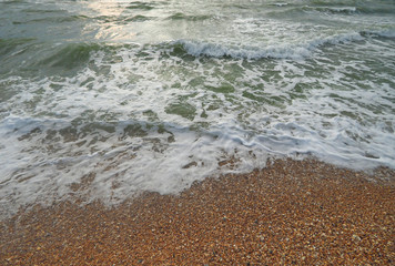 Waves of the sea on the sandy beach