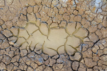 Clay of earth cracked and dry