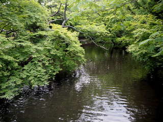 YUFUIN, FUKUOKA ,JAPAN