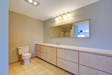 Simplistic bathroom with shower, toilet and long cabinet.