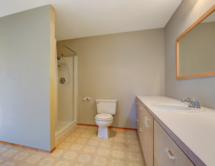 Fototapeta na wymiar Simplistic bathroom with shower, toilet and vanity cabinet.