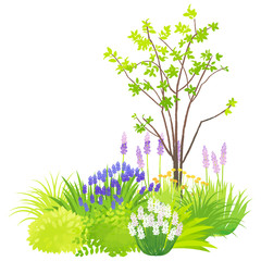 ナチュラルガーデン