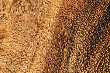 Wooden textured background