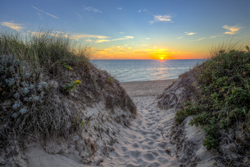 A path through the dunes to Race Point Beach, on Cape Cod near Provience Town MA.