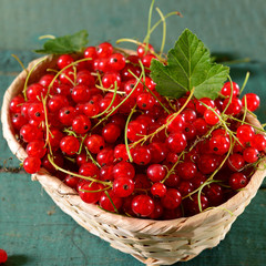 Red currants basket