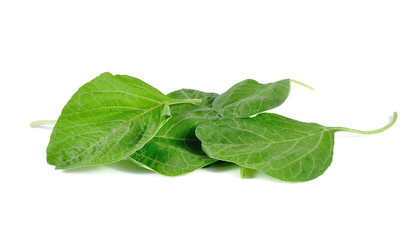 Obraz premium spinach fresh isolated on white