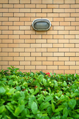 brick wall background