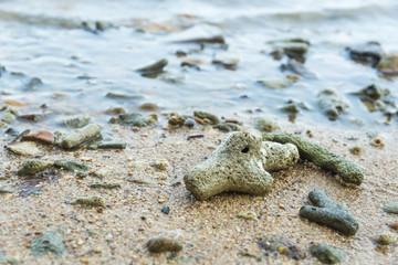 Coral Rubble formed from old dead corals that is washed up onto