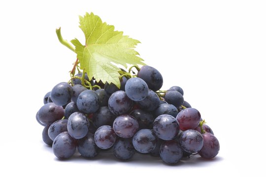 grapes bunch isolated on white background