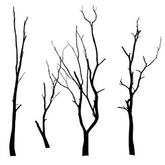 vector black silhouette of a bare tree