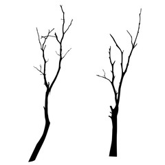 vector black silhouette of a bare tree