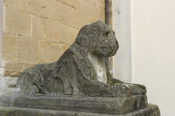 florence lion statue italy