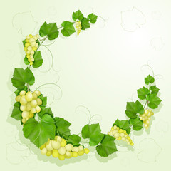Grapes with leaves background