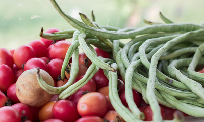 tomato and yard long bean ingerdients of papaya salad Som tum