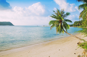 Bright tropical landscape with turquoise sea water and green pal