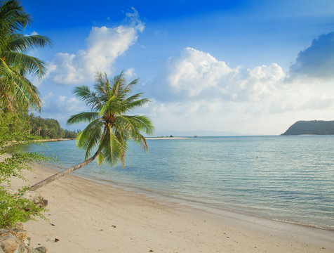Bright tropical landscape with turquoise sea water and green pal