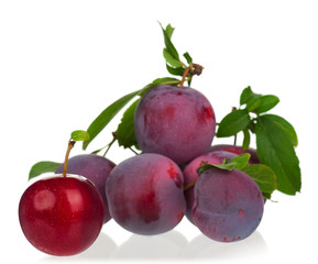 Fresh tasty plums