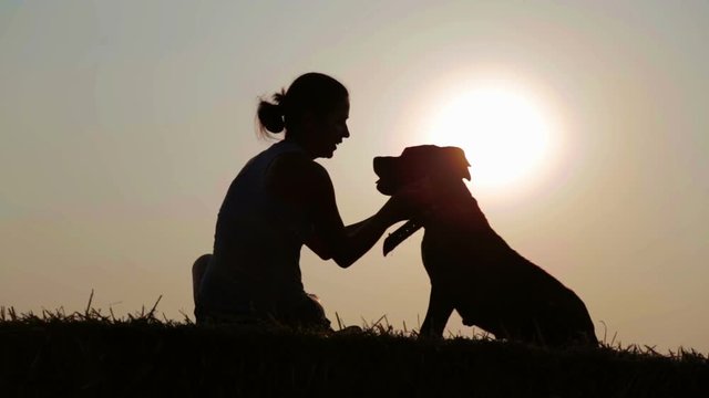 Silhouette of a young girl with a dog in the manger.
