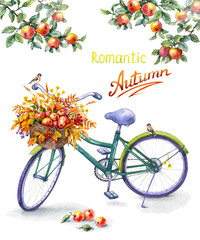 Fototapeta na wymiar Bicycle with red apples basket