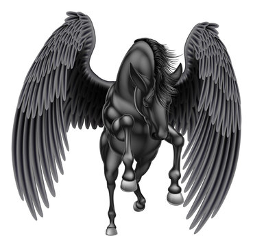 Black Pegasus Winged Horse