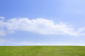 Fototapeta premium 青空と草原 Green field and Blue sky