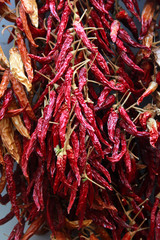 Naklejka premium Dried chilli pepper
