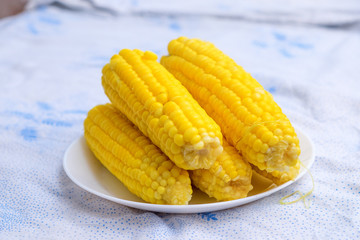 Boiled corn on a white plate in the kitchen