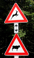 road signs near the wood danger crossing animals