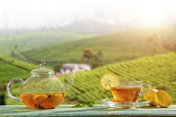 Cup of hot tea with plantation on background