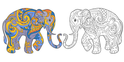 Hand drawing for adult color book, elephant page. Linear outline and sample coloring.