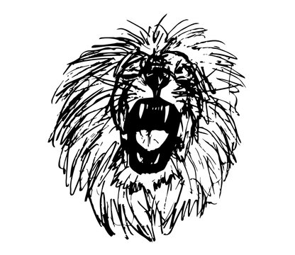 lion wild design