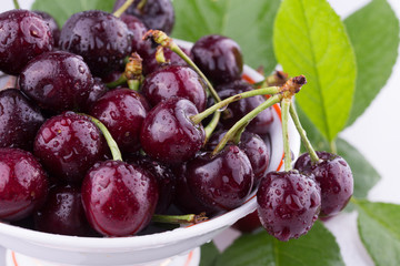 white vase with berries