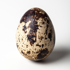 Quail egg on a white background
