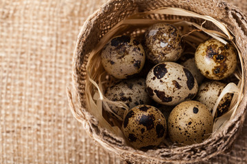 Fresh quail eggs at wooden plate closeup