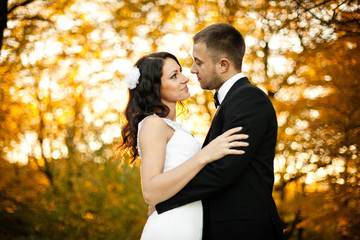 Curly bride admires a groom while standing in the autumn park