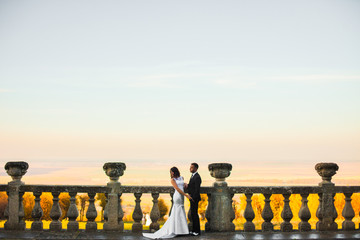 Yellow fields spread behind a wedding couple posing on the balco
