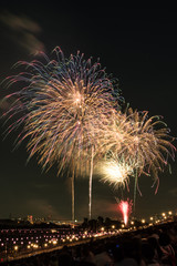 ２０１６　板橋花火１０