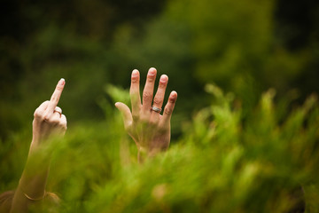 Newlyweds hands with wedding rings raised above the bushes