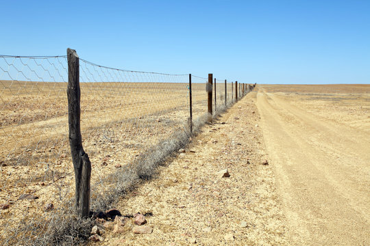 Dingo Dog Proof Fence In Desert Outback Australia