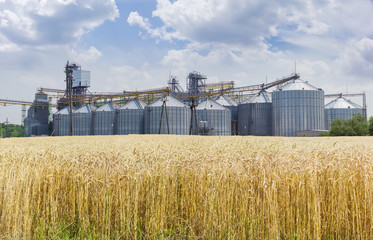 Grain elevator with field of ripe wheat in the foreground